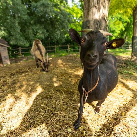 Agriturismo Colle Dei Pivi Ponti sul Mincio Bagian luar foto